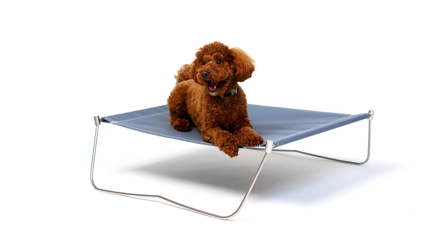 Dog Cot_main_01