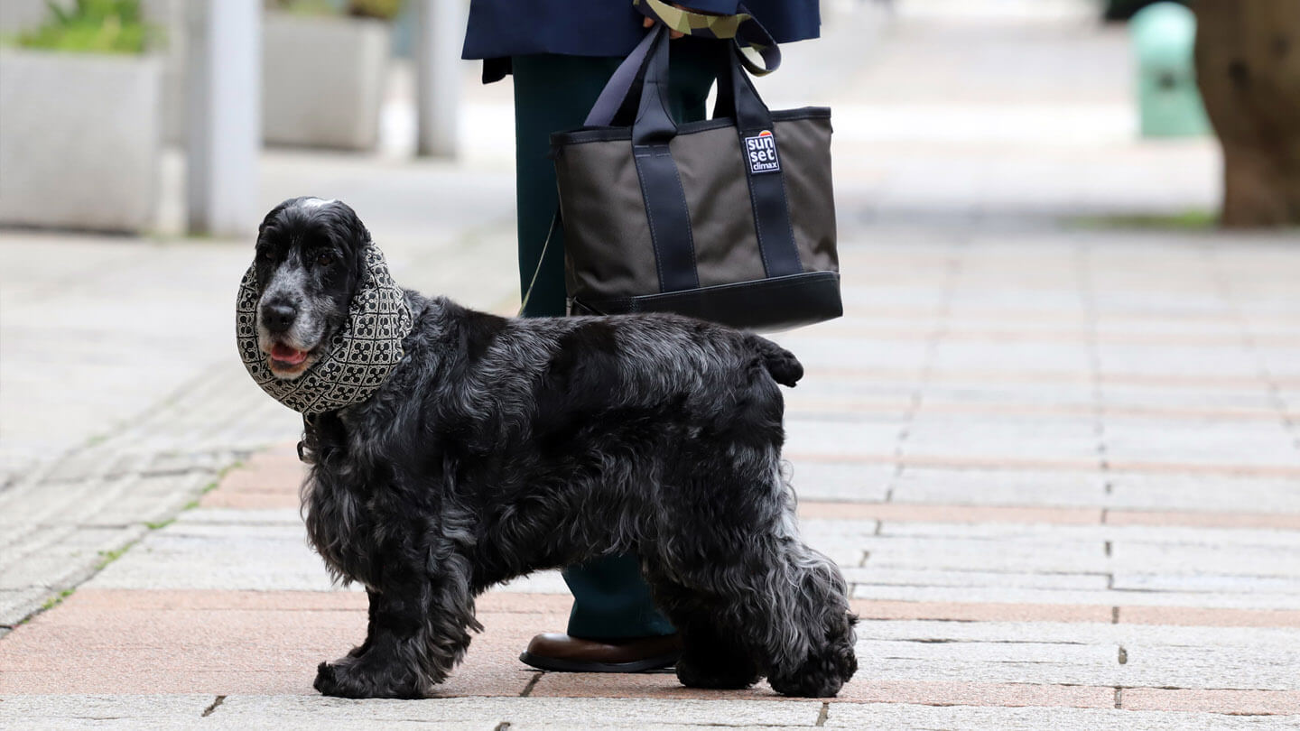 Mini Tote Bag_main_03